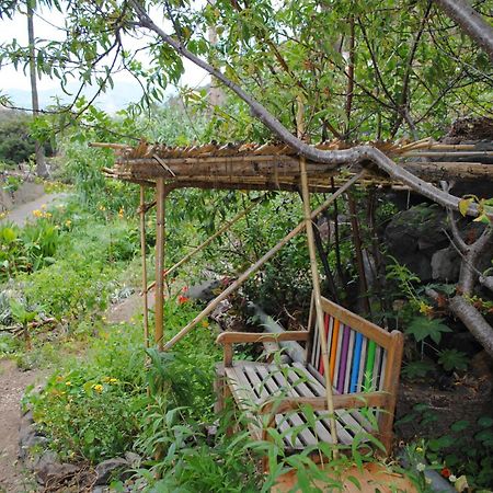 Hostal Casa Amaya Vallehermoso Kültér fotó